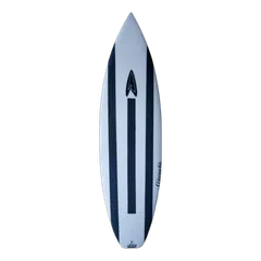 Roberts The Black Punt