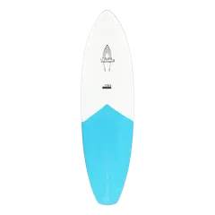 Walden Surfboards Mini Mega Magic